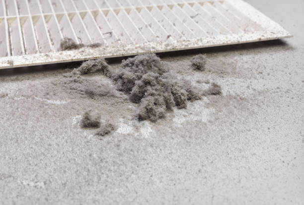 Best Dryer Vent Cleaning Services  in Rockdale, TX