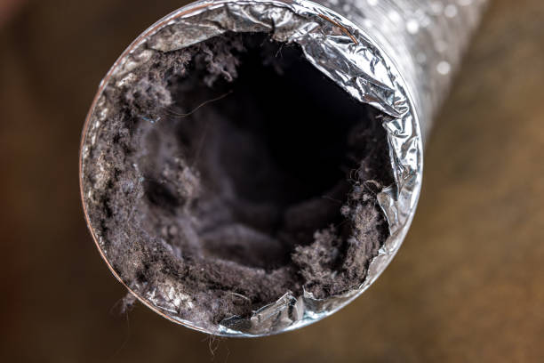 Best Emergency Air Duct Cleaning  in Rockdale, TX