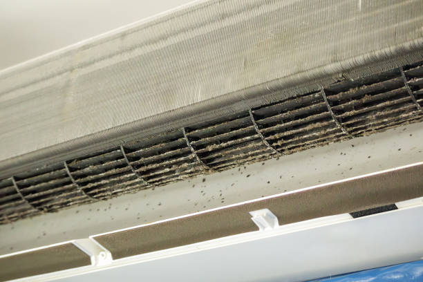 Best HVAC Air Duct Cleaning  in Rockdale, TX